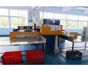 吸塑包(bāo)裝生産車間(jiān)